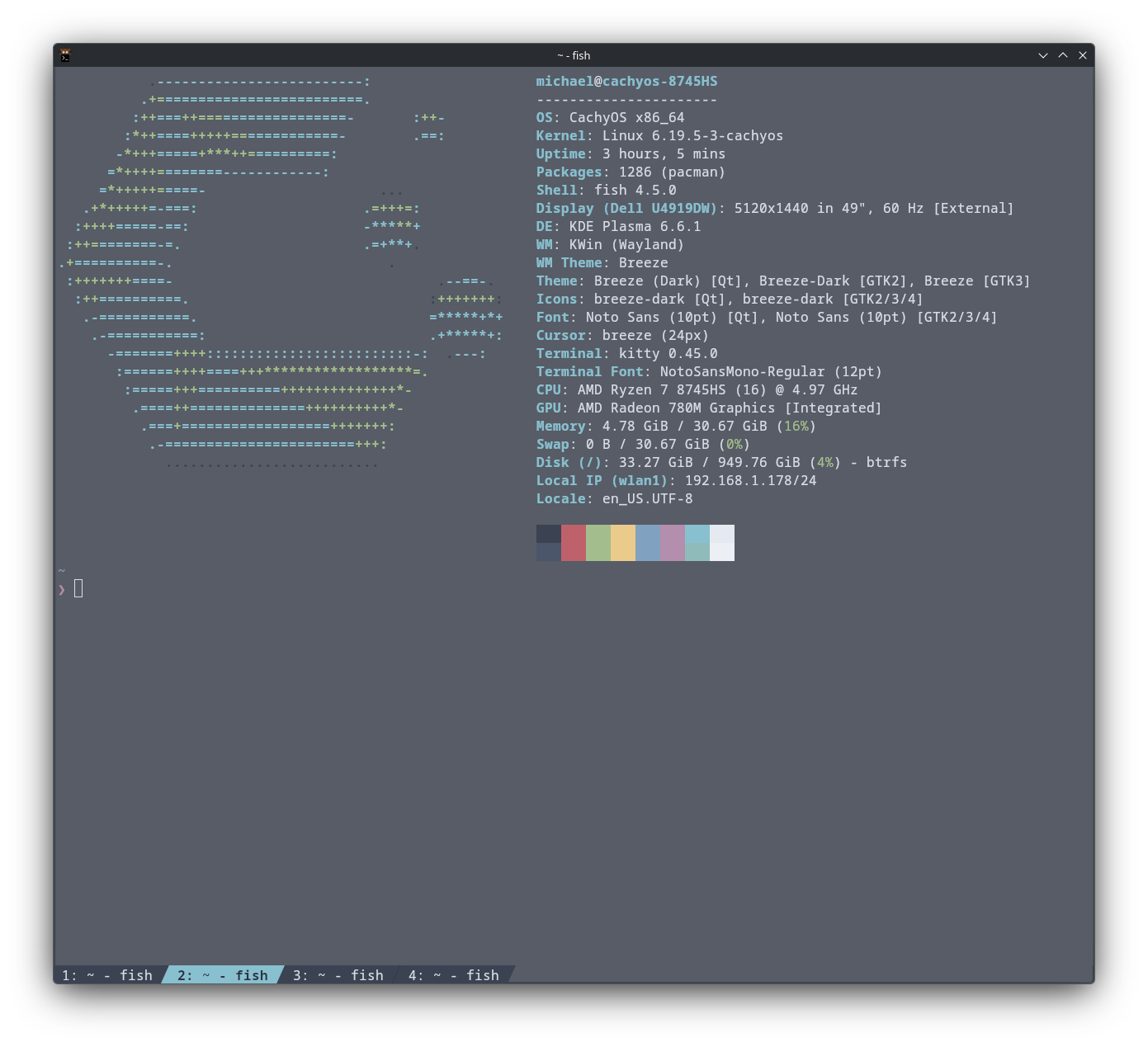 Kitty terminal with tabs and fastfetch